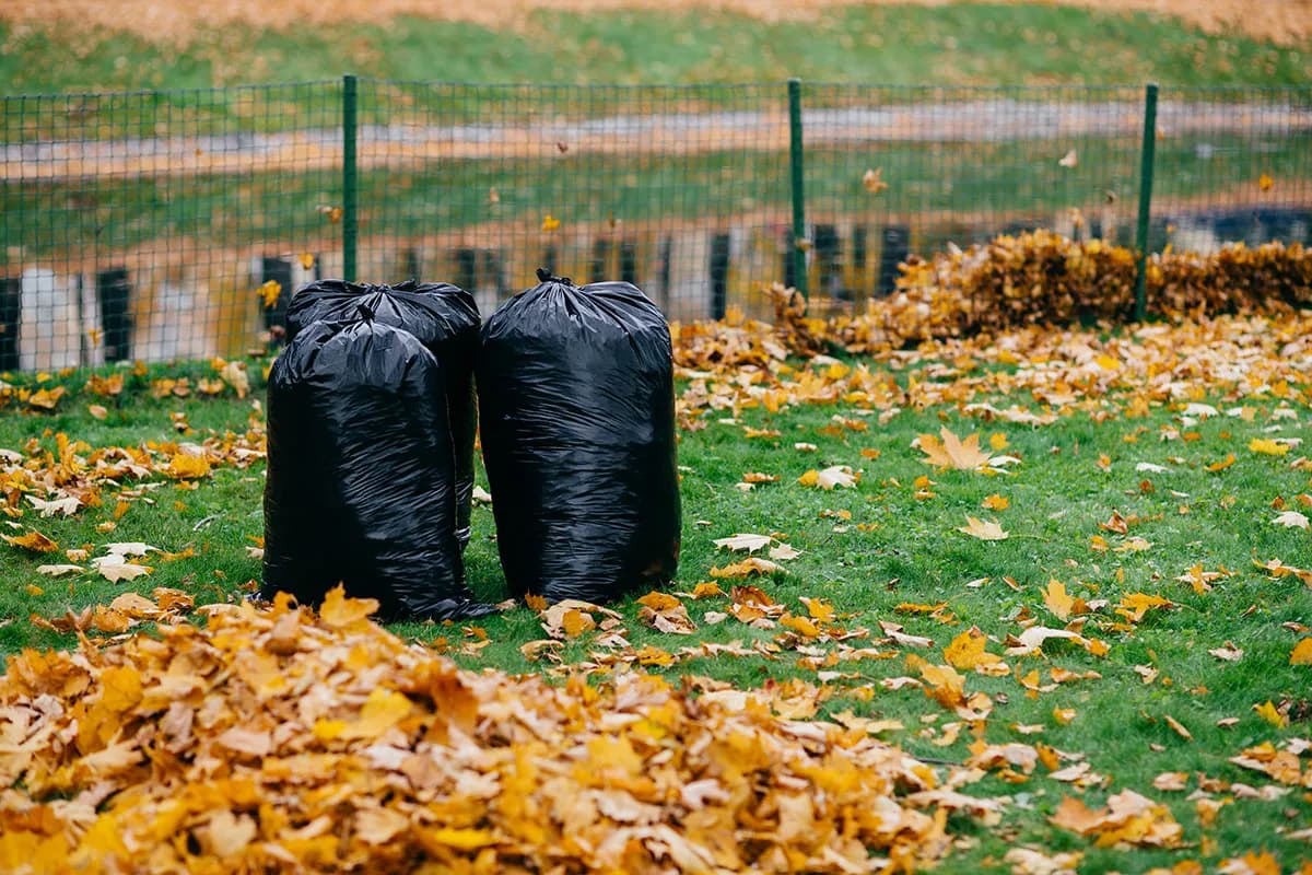 Seasonal yard cleanup in Colorado Springs