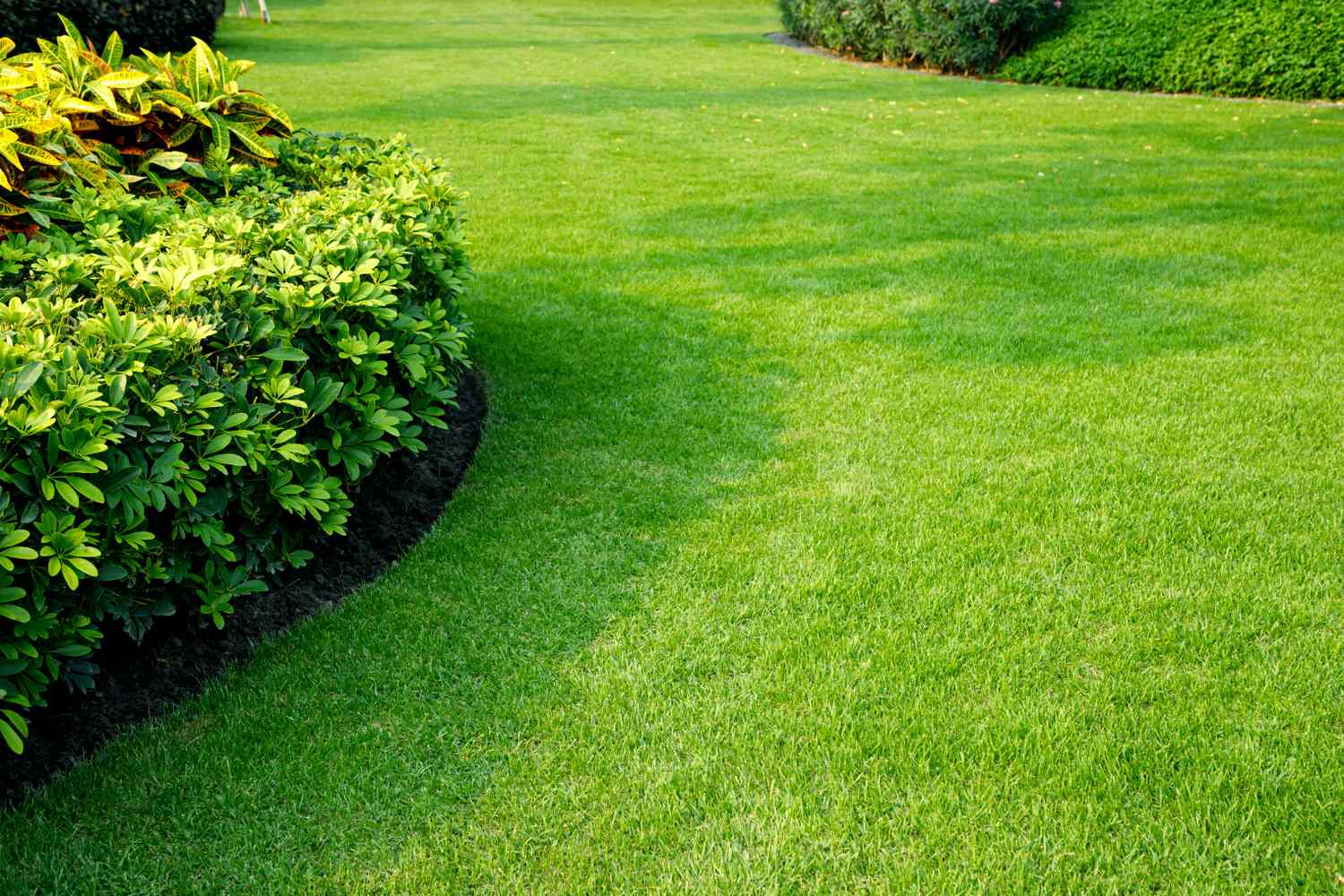 Specialty organic lawn treatments