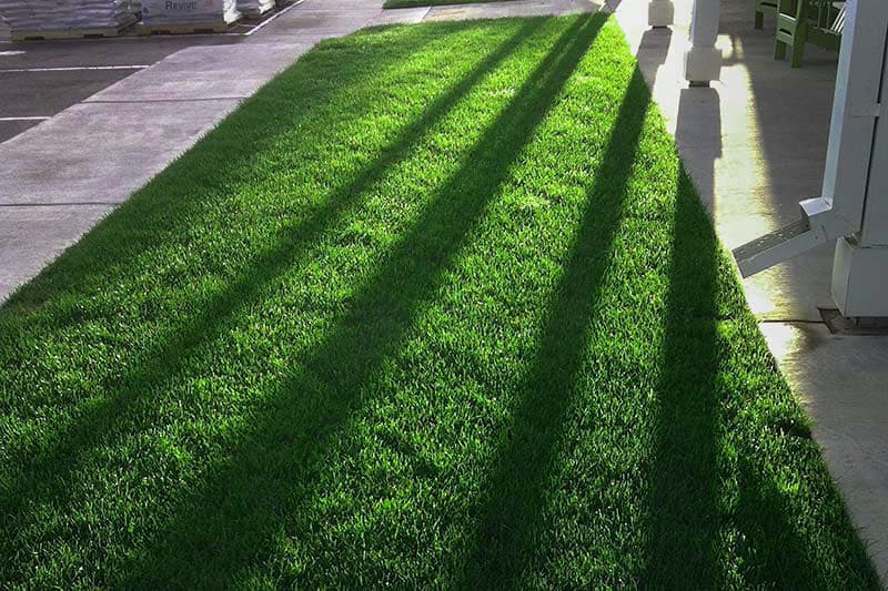 Liquid treatments application in Colorado Springs