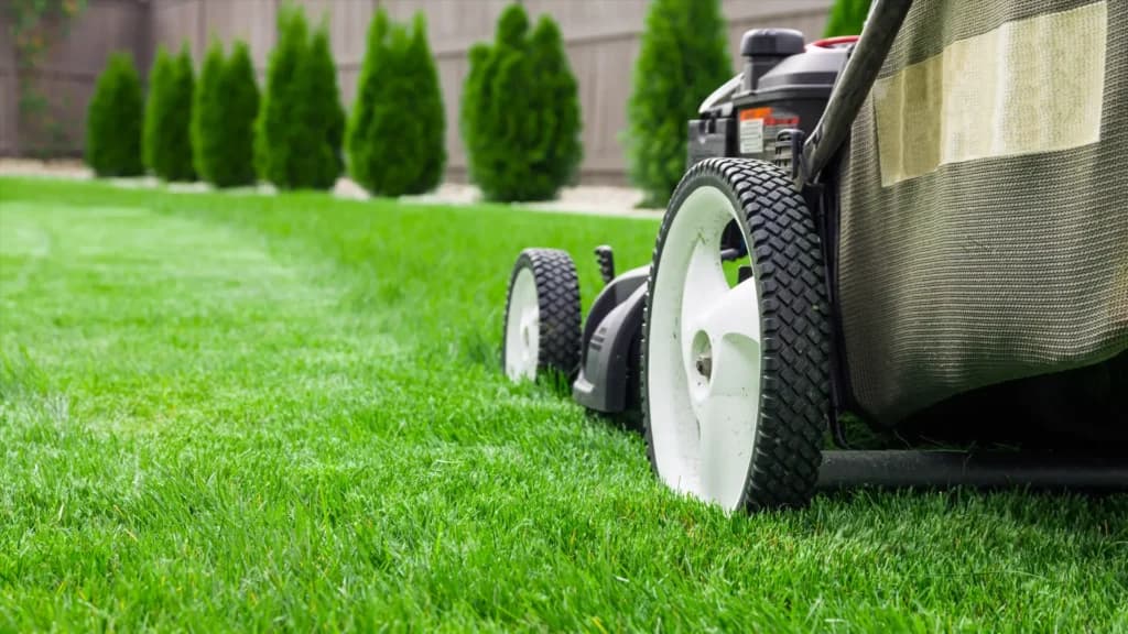 Weekly lawn mowing and metal edging in Colorado Springs