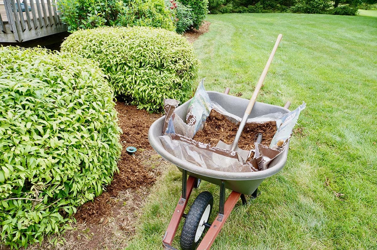 Premium mulch installation in Colorado Springs